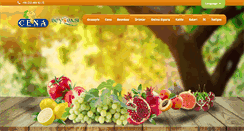 Desktop Screenshot of cena.com.tr